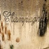 Champagner: Blanc de Blancs & Blanc de Noirs