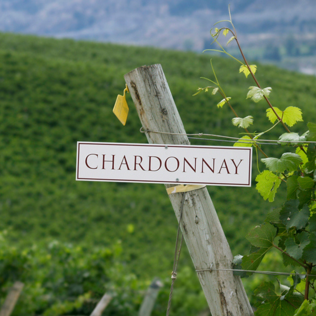 Chardonnay: Baden vs. Côte d'Or