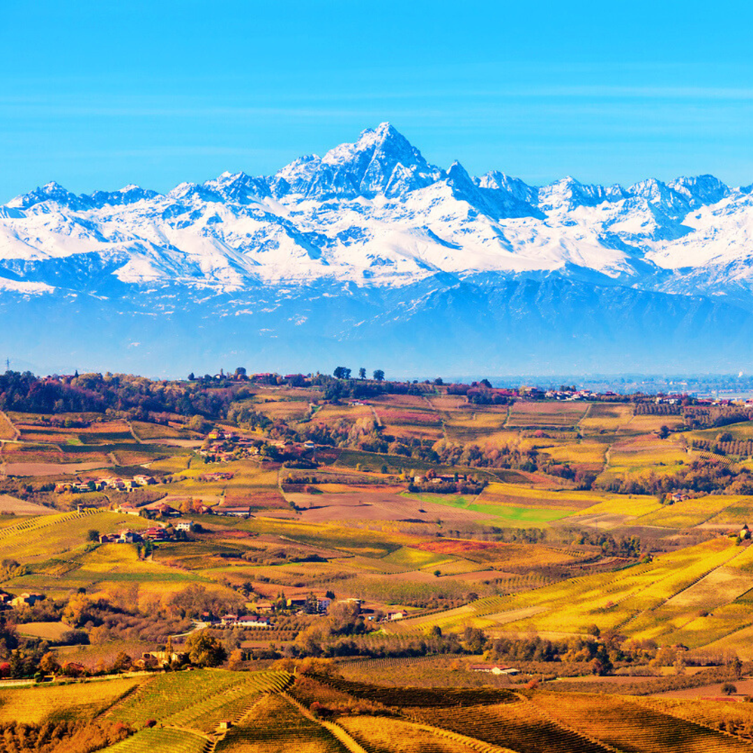 Vortreffliches Piemont: Barolo und seine Nachbarn