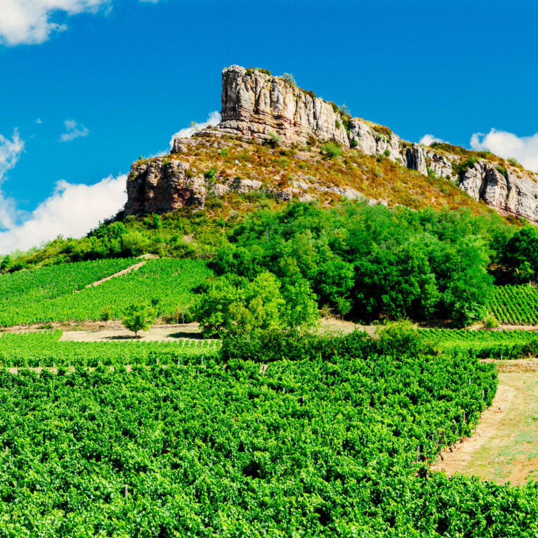 Mâcon: das südliche Burgund